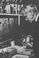 Biografia de Alexander Fleming